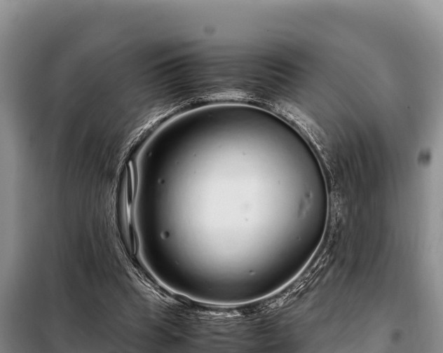 X0000099310345200805091023