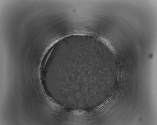 X0000099310346200805091023