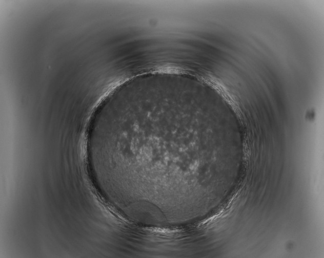 X0000099310347200805091023