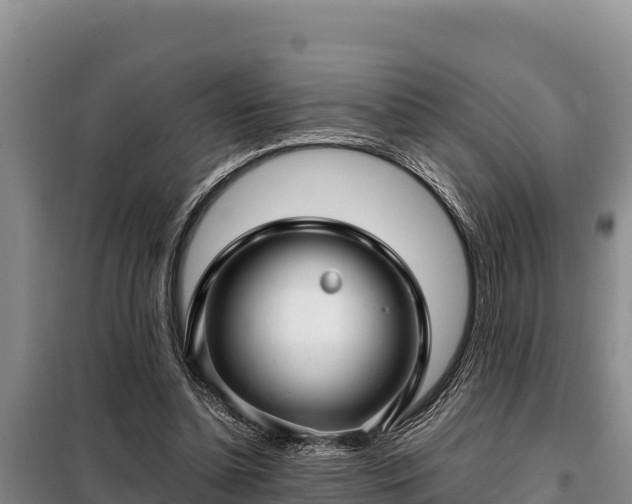 X0000099310348200805091023