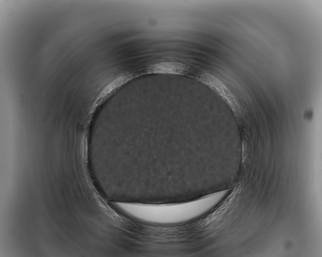 X0000099310349200805091023