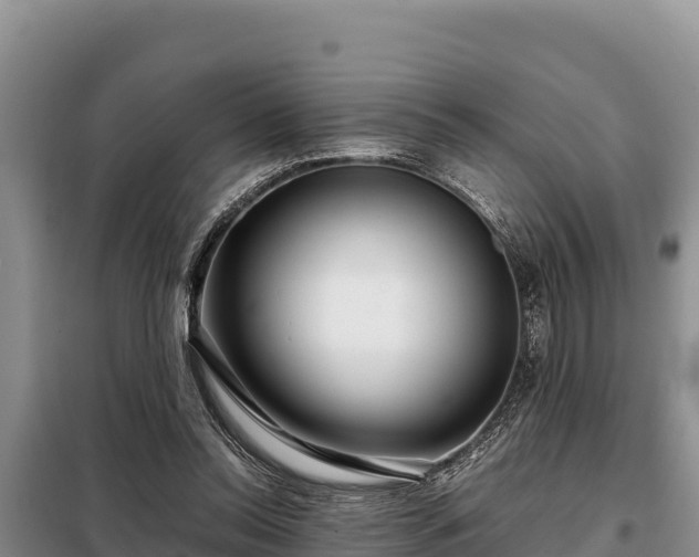 X0000099310350200805091023