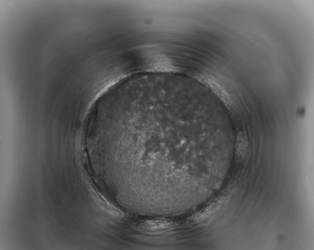 X0000099310351200805091023