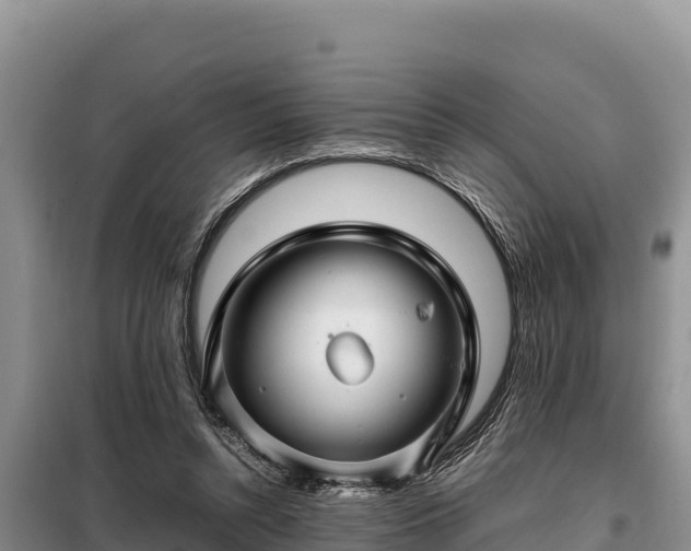 X0000099310352200805091023