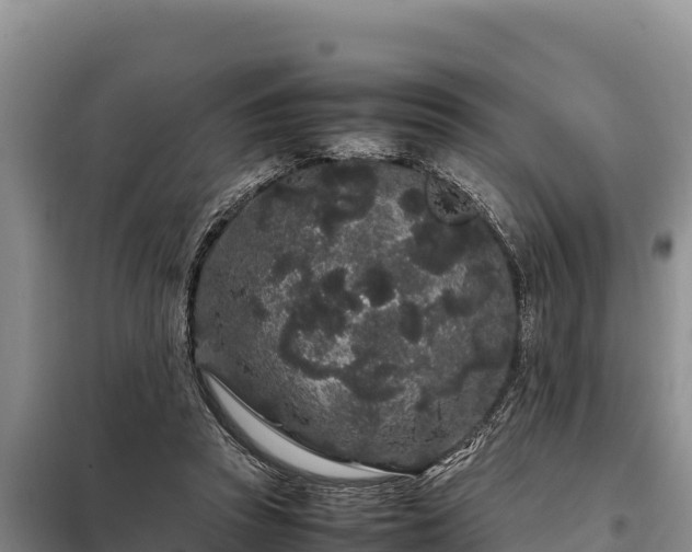 X0000099310353200805091023