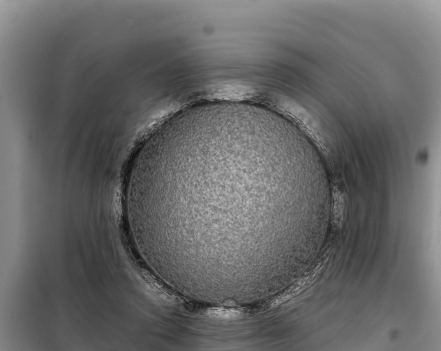 X0000099310354200805091023