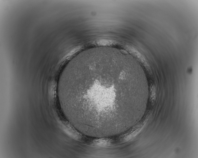 X0000099310356200805091023