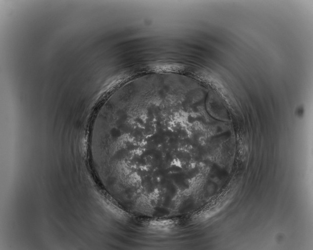 X0000099310357200805091023