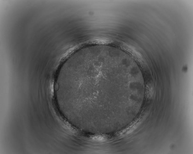 X0000099310358200805091023