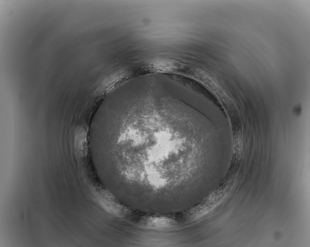 X0000099310360200805091023