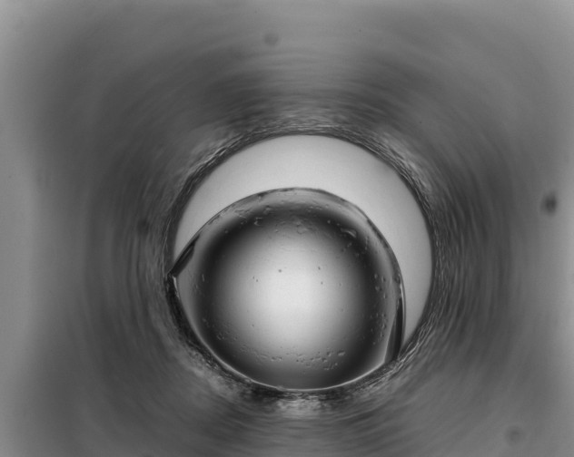 X0000099310362200805091023