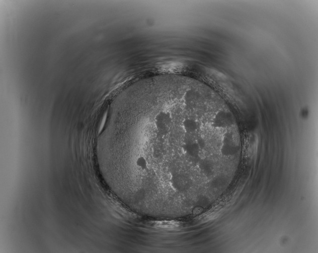 X0000099310363200805091023