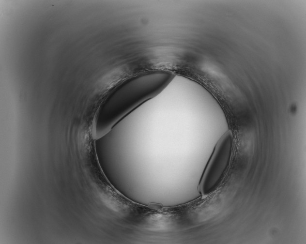 X0000099310364200805091023