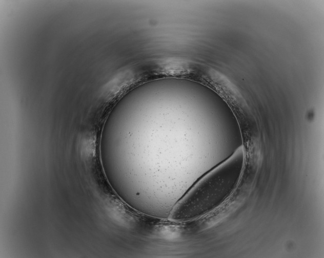 X0000099310368200805091023