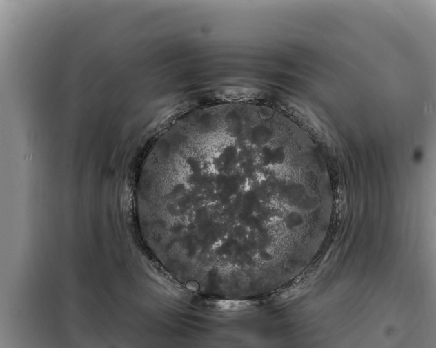 X0000099310371200805091023