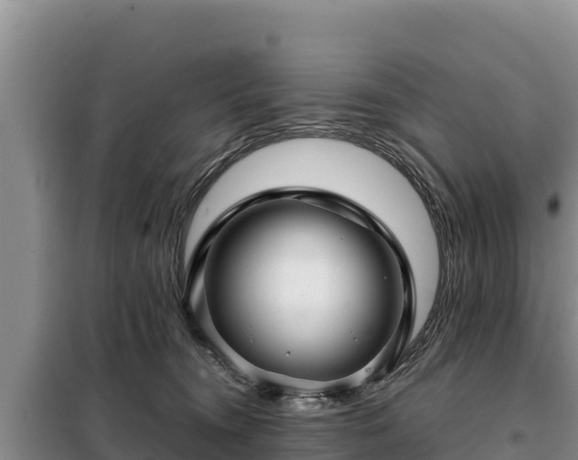 X0000099310372200805091023