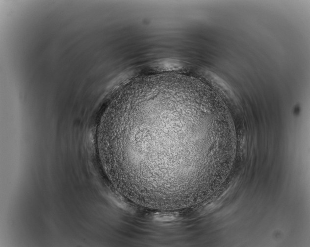 X0000099310373200805091023