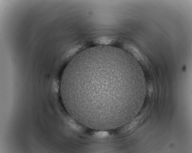 X0000099310374200805091023