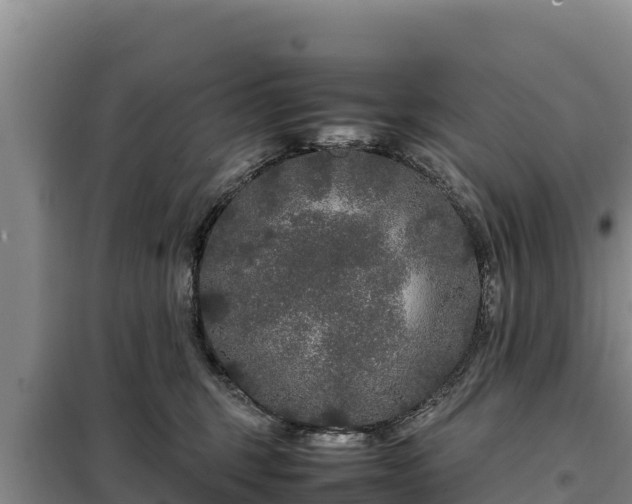 X0000099310375200805091024