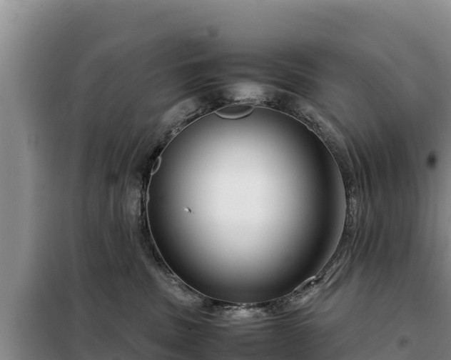 X0000099310379200805091024