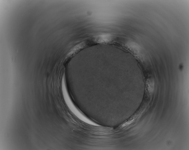 X0000099310380200805091024