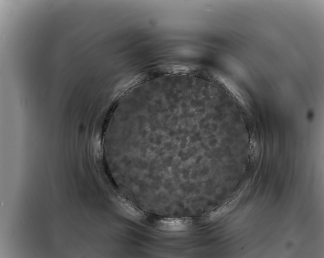 X0000099310381200805091024