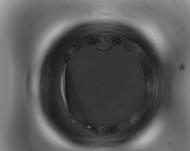 X0000099310383200805091024