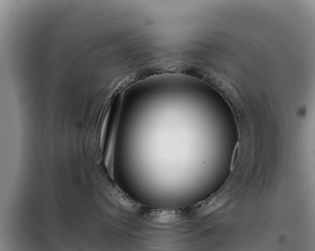 X0000099310384200805091024