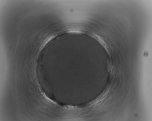 X0000099310385200805091023