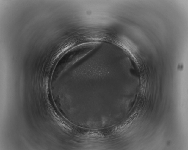 X0000099310386200805091023