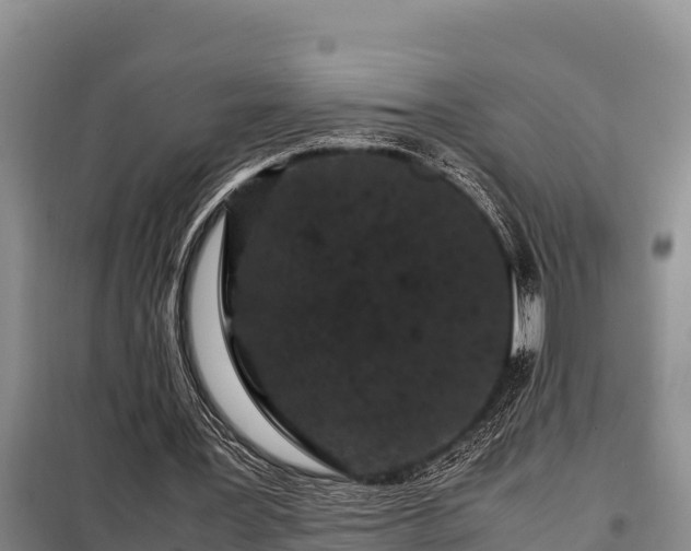 X0000099310387200805091023