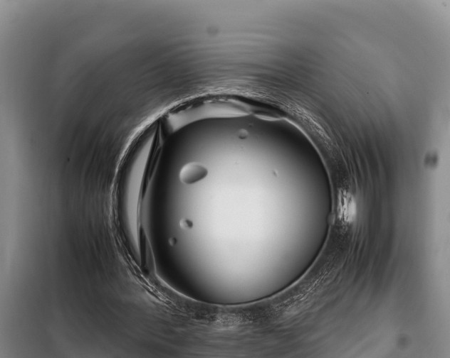 X0000099310388200805091023