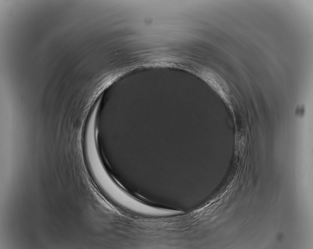 X0000099310389200805091023