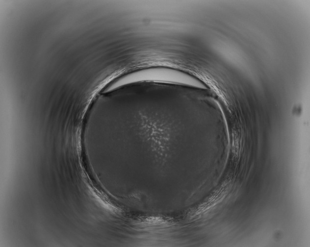 X0000099310390200805091023