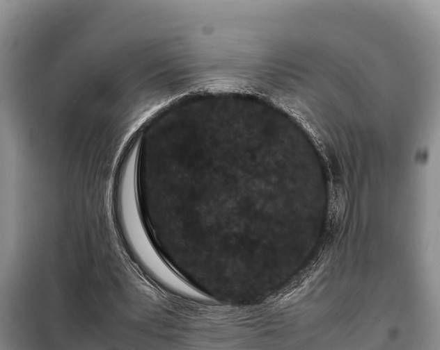 X0000099310391200805091023