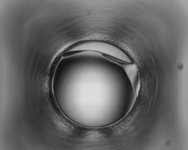 X0000099310392200805091023