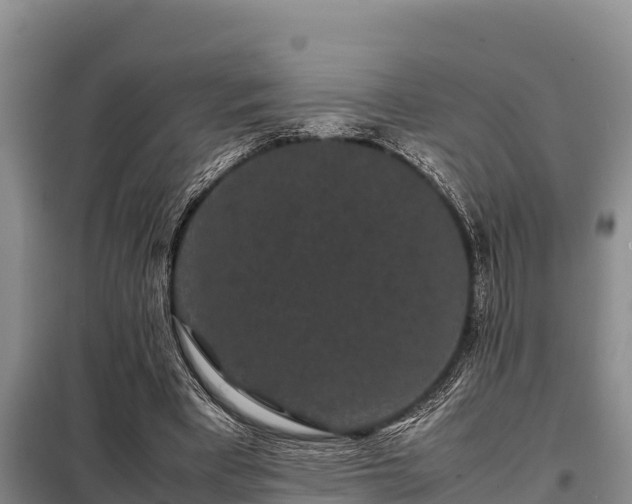 X0000099310393200805091023