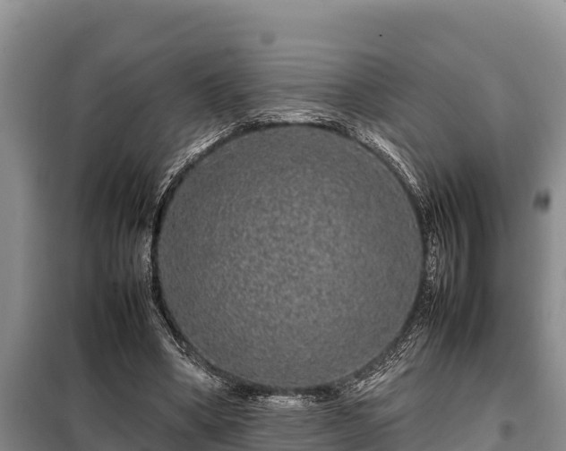 X0000099310394200805091023