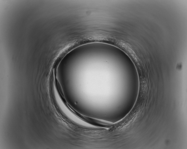 X0000099310395200805091023