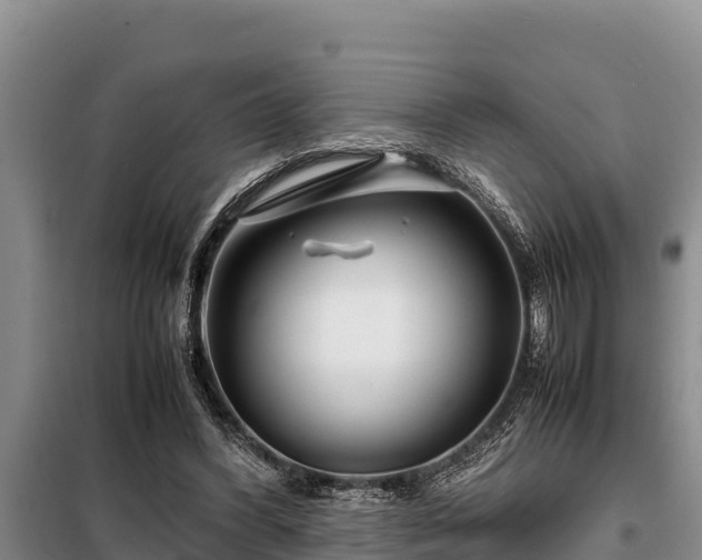 X0000099310396200805091023