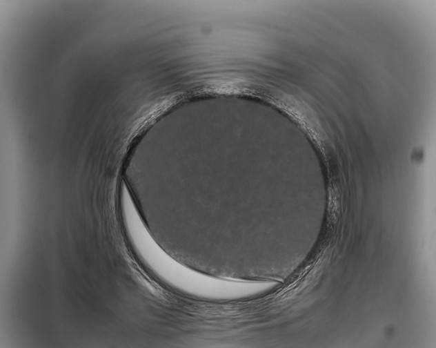 X0000099310397200805091023