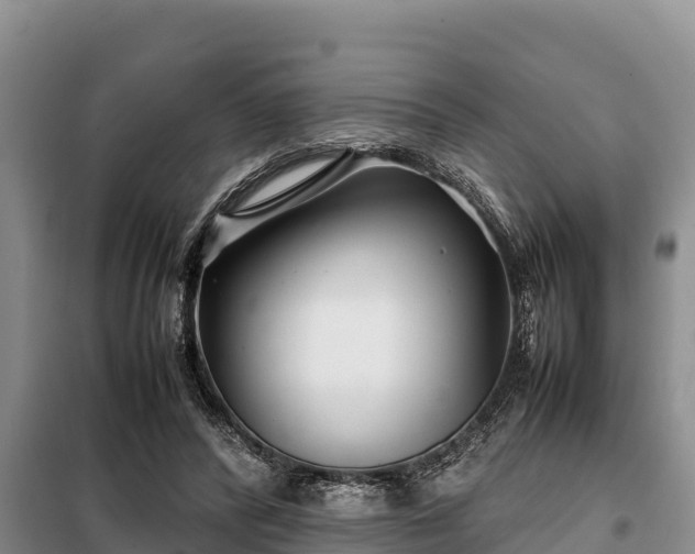 X0000099310400200805091023