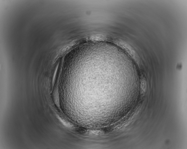 X0000099310401200805091022