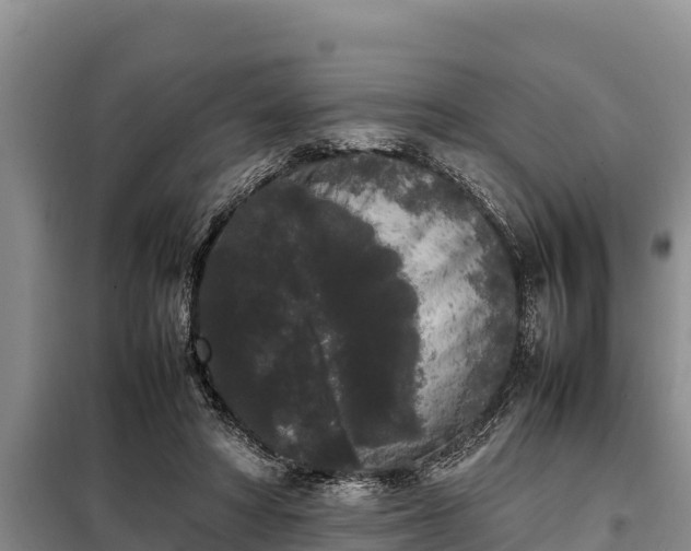 X0000099310402200805091022