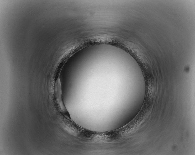 X0000099310403200805091022