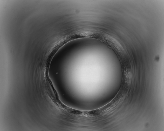 X0000099310404200805091022