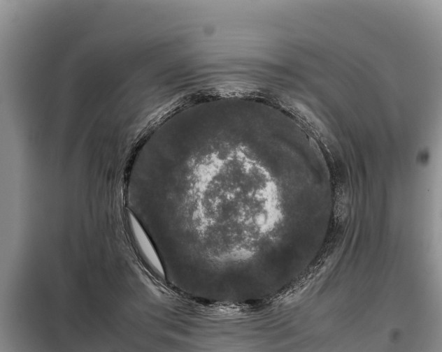 X0000099310405200805091022