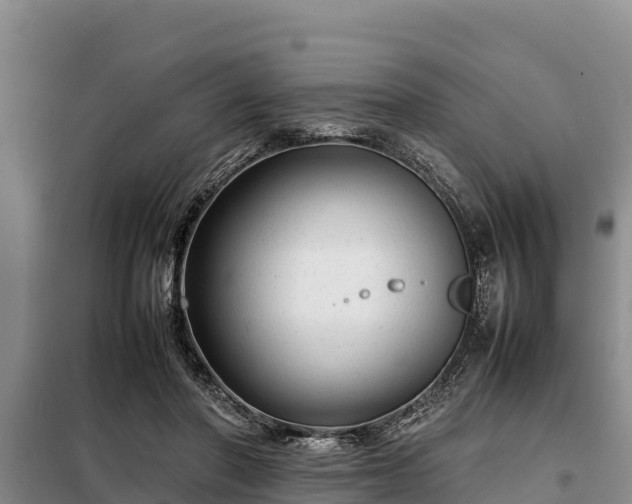 X0000099310406200805091022