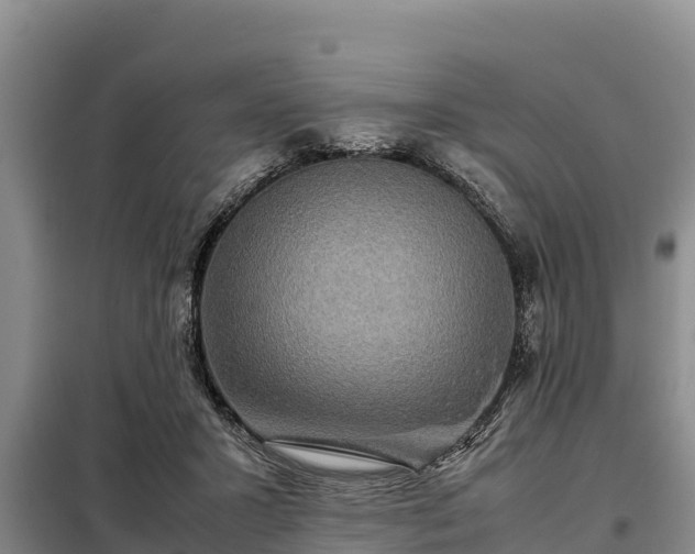 X0000099310407200805091022