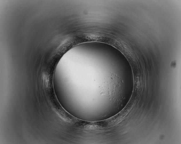 X0000099310408200805091022